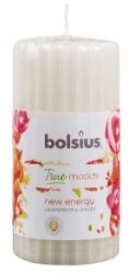 Bolsius Lumanare Stalp 120 x 58 mm Bolsius, Gref si Ghimbir (LCA-TRU-STP-120/58-84-TM)