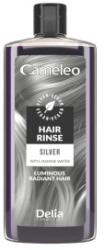 Cameleo Solutie de Colorare Par in Nuante de Argintiu, Delia Cameleo, 200 ml