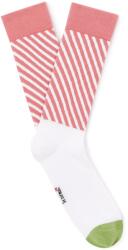 CELIO Xjisushi2 uni