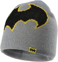 Warner Bros. Interactive BATMAN UNI
