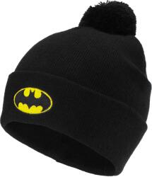 Warner Bros. Interactive Batman pompom hat uni