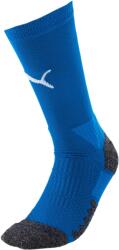 PUMA Team liga training sock 47-49