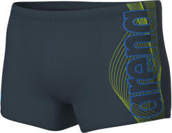 arena BASIC 8