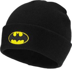 Warner Bros. Interactive Batman street hat uni