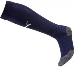 PUMA Team liga 39-42