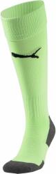 PUMA Team liga socks core 43-46