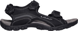 LOAP ALLEN 44