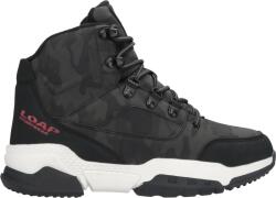 LOAP HODGE 36
