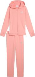 PUMA Metallic hooded sweat suit tr g 140