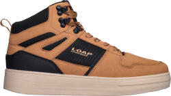 LOAP COMPAC 41