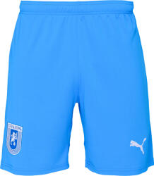 PUMA Ucv shorts l