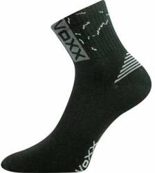 VoXX Codex 29-31