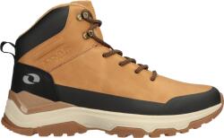 LOAP SOLAR 45