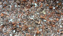  Botanic Soil Moister 5l, nedvességkedvelő növények táptalaja, bigos föld (5906954402073)