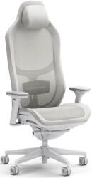 Fractal Design Ergonómikus irodai szék REFINE Mesh light