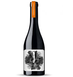 Kristinus - Parapli 2020 0, 75l - drinkair