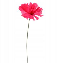 Goliat Krizantém, rózsaszín, művirág, 35cm, Goliat (CH-2/BRD)