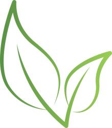 Natural Nutrition Carnitine - L-Karnitín Natural 100g