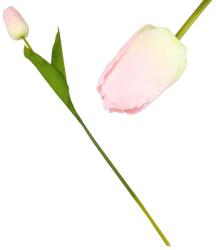  Szálas tulipán halvány rózsaszín