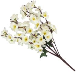  9 ágú barackvirág csokor krém