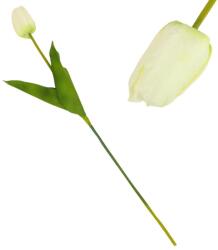  Szálas tulipán krém