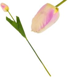  Szálas tulipán sárga - halvány rózsaszín