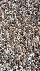  Botanic Soil Succulent 10l Pozsgás táptalaj, keverék, homok, perlit, keramzit, aktív szén (5906954402042)