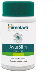Himalaya Ayurslim kapszula - 60x ( Kiszerelés: 60x )