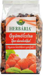 Herbária gyümölcstea eper darabokkal ( Kiszerelés: 120g )