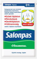  Salonpas tapasz ( Kiszerelés: 2X )