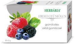 Herbária gyümölcstea erdei gyümölcs ízű filteres ( Kiszerelés: 20x )
