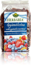 Herbária gyümölcstea erdei gyümölcs ízű - 120g ( Kiszerelés: 120g )