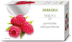 Herbária gyümölcstea Málna filteres - 20x ( Kiszerelés: 20x )
