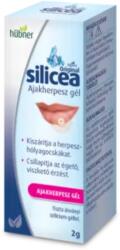  Silicea Hübner ajakherpesz gél - 2g ( Kiszerelés: 2g )
