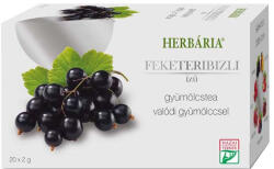 Herbária gyümölcstea Feketeribizli filteres - 20x - Lejárat közeli: 2026.03. 06. ( Kiszerelés: 20x )