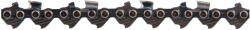 honest Lant Motoferastrau Drujba Oregon - Tip Profesional (675923)