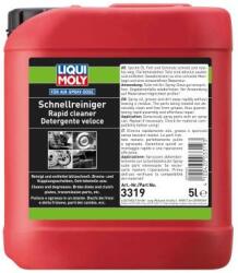 LIQUI MOLY 3319 Solutie de curatat rapida