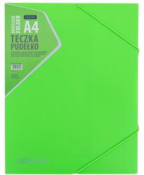 ASTRA Füzetbox ASTRA PP neonline A/4 vegyes színekben