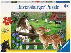 Ravensburger Căluț și caprioară 60 piese RVSPC09625 Puzzle