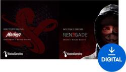 Musical Sampling Aggrsn Drums Bundle (Digitális termék)