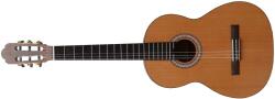 Prodipe Guitars Lh Primera 4/4 klasszikus koncertgitár balkezeseknek (30490)