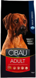 CIBAU Maxi Adult Száraz Kutyatáp (Csirke) - 12+2 kg
