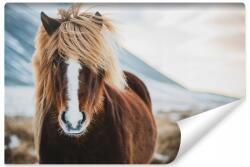 Muralo Fotótapéta Izlandi Ló Téli táj 3D, 135x90cm, flizelin (MF-5143-VE135-90)