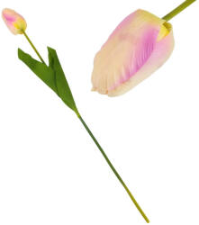  Szálas tulipán sárga - halvány-rózsaszín - virágdekorációhoz és koszorúhoz