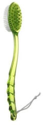  Perie de baie cu maner lung, exfolianta, 36 x 7 cm, Verde