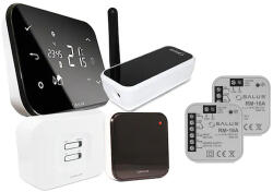 SALUS Pachet Termostat Ambiental Salus It500, Control Prin Internet A 2 Zone Cu 2 Pompe De Circulatie (pachet_1_it500)