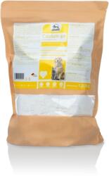 FORTAN Calciu 40 1.3 kg - Supliment nutritiv pudră cu calciu pentru câini și pisici