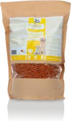 FORTAN Morcovi pelete FORTAN 2.5kg - Supliment nutritiv natural pentru câini, bogat în caroten și nutrienți