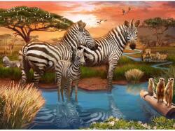 Ravensburger Zebre la apă 500 piese RVSPA17376 Puzzle