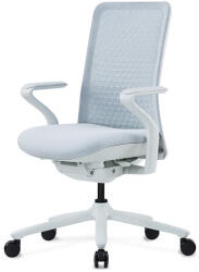 FlexiSpot POLY Ergonomikus irodai szék BS13, Világos Szürke, Díjnyertes design és prémium kényelem (BS13G)